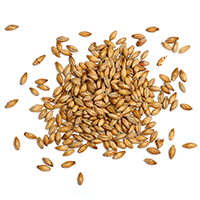 assets/uploads/sites/3/2017/05/ingredients_transparent_03.png